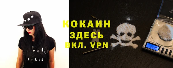 сатива Магадан