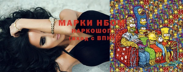 сатива Магадан