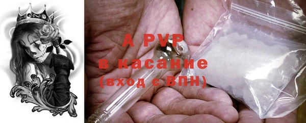 прущие грибы Майский