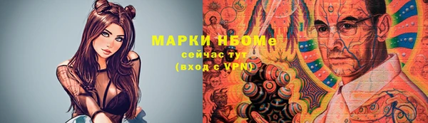 прущие грибы Майский